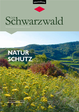 Ausgabe 4/2019