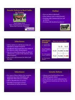 Genetic Defects in Beef Cattle