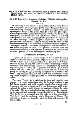 On a New Species of Apororhynchus from the White· Scavenger Vulture Neophron 'Percnopterus (Linn.) from India