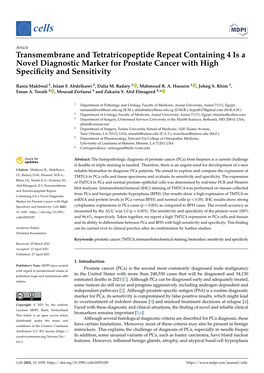 Transmembrane and Tetratricopeptide Repeat Containing 4 Is a Novel Diagnostic Marker for Prostate Cancer with High Speciﬁcity and Sensitivity