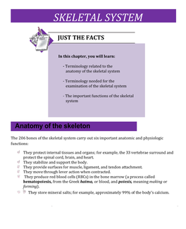 Skeletal System