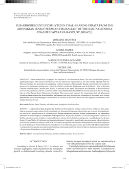 Early Permian/Cisuralian) of the Santa Catarina Coalfield (Paraná Basin, Sc, Brazil)