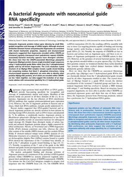 A Bacterial Argonaute with Noncanonical Guide RNA Specificity