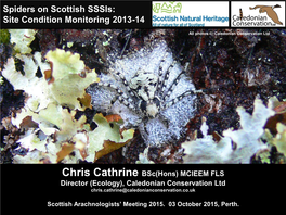 Spiders on Scottish Sssis: Site Condition Monitoring 2013-14