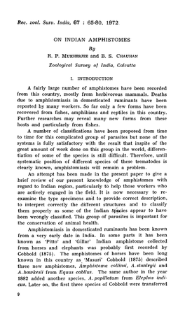 ON INDIAN AMPHISTOMES by R