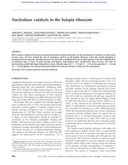 Nucleobase Catalysis in the Hairpin Ribozyme