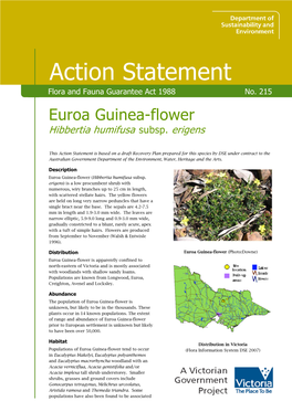 Euroa Guinea-Flower Hibbertia Humifusa Subsp