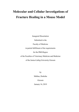 Molecular and Cellular Investigations of Fracture Healing in a Mouse Model
