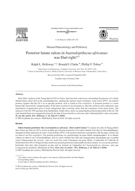 Posterior Lunate Sulcus in Australopithecus Africanus: Was Dart Right?>