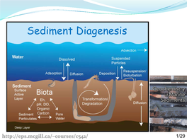 Sediment Diagenesis