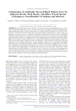 Colonization of Artificially Stressed Black Walnut Trees by Ambrosia Beetle, Bark Beetle, and Other Weevil Species (Coleoptera: Curculionidae) in Indiana and Missouri