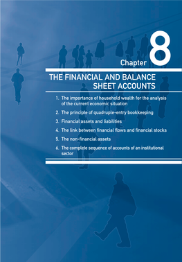 THE FINANCIAL and BALANCE SHEET ACCOUNTS Chapter 8