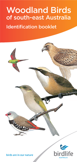 Woodland Birds of South-East Australia Identification Booklet