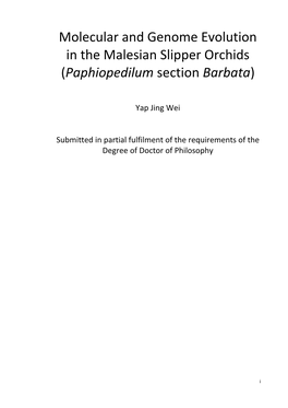 Molecular and Genome Evolution in the Malesian Slipper Orchids (Paphiopedilum Section Barbata)