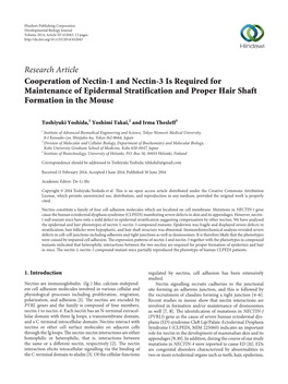 Cooperation of Nectin-1 and Nectin-3 Is Required for Maintenance of Epidermal Stratification and Proper Hair Shaft Formation in the Mouse