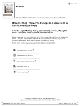 Reconnecting Fragmented Sturgeon Populations in North American Rivers