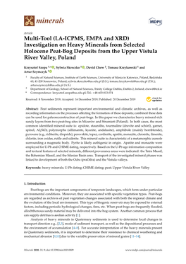 Multi-Tool (LA-ICPMS, EMPA and XRD) Investigation on Heavy Minerals from Selected Holocene Peat-Bog Deposits from the Upper Vistula River Valley, Poland