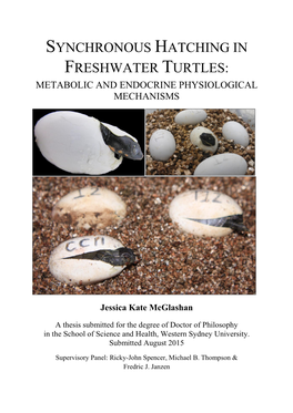 Synchronous Hatching in Freshwater Turtles: Metabolic and Endocrine Physiological Mechanisms