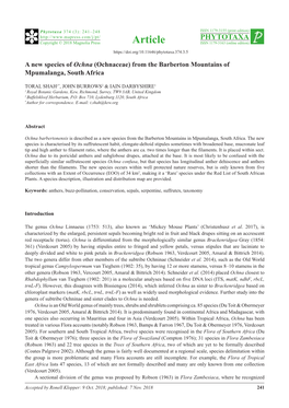 A New Species of Ochna (Ochnaceae) from the Barberton Mountains of Mpumalanga, South Africa