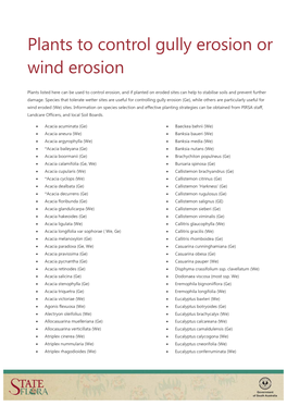 Plants to Control Gully Or Wind Erosion