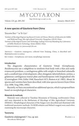 A New Species of <I>Gautieria</I> from China