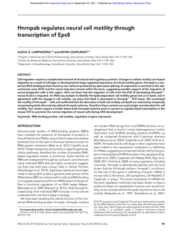 Hnrnpab Regulates Neural Cell Motility Through Transcription of Eps8