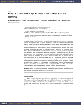 Image-Based Wheat Fungi Diseases Identification by Deep Learning