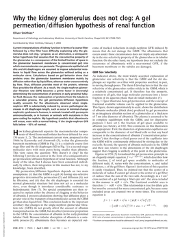 Why the Kidney Glomerulus Does Not Clog: a Gel Permeation Diffusion Hypothesis of Renal Function