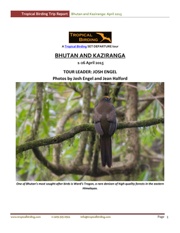 Bhutan and Kaziranga: April 2015