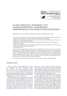 Islamia Zermanica (Radoman, 1973) (Caenogastropoda: Hydrobiidae): Morphological and Molecular Distinctness