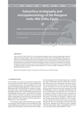 Subsurface Stratigraphy and Micropaleontology of the Neogene Rocks, Nile Delta, Egypt 