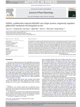 Osdog, a Gibberellin-Induced A20/AN1 Zinc-Finger Protein