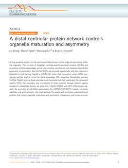 A Distal Centriolar Protein Network Controls Organelle Maturation and Asymmetry