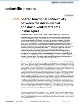 Shared Functional Connectivity Between the Dorso-Medial And