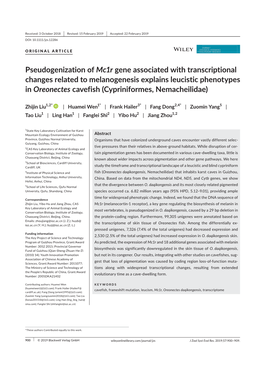 Pseudogenization of Mc1r Gene Associated with Transcriptional