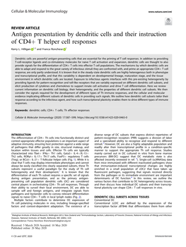 Antigen Presentation by Dendritic Cells and Their Instruction of CD4+ T Helper Cell Responses