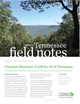 Tennessee Field Notes CONNECT with NATURE: NATURE.ORG/TENNESSEE