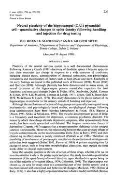 Neural Plasticity of the Hippocampal (CA1) Pyramidal Cell - Quantitative Changes in Spine Density Following Handling and Injection for Drug Testing