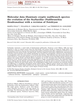 Molecular Data Illuminate Cryptic Nudibranch Species: the Evolution of the Scyllaeidae (Nudibranchia: Dendronotina) with a Revision of Notobryon