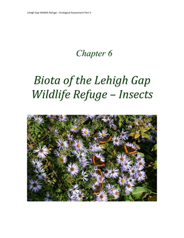 Chapter 6. Insects