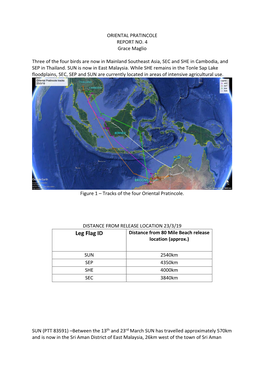 Oriental Pratincole Satellite Tracking Report Number 4