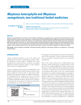 Maytenus Heterophylla and Maytenus Senegalensis, Two Traditional Herbal Medicines