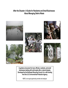 A Guide for Residents and Small Businesses About Managing Debris Waste