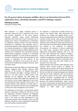 For the Preservation of Genome Stability, There Is an Interaction