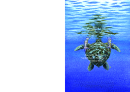 Sea Turtle Handling Guidebook for Fishermen Teaching Book