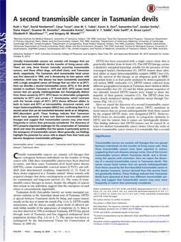 A Second Transmissible Cancer in Tasmanian Devils