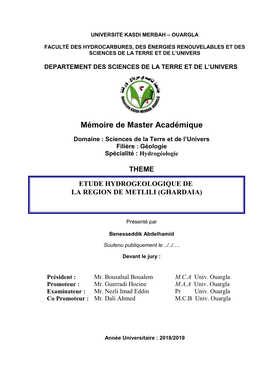 Mémoire De Master Académique