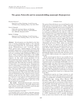 The Genus Podocrella and Its Nematode-Killing Anamorph Harposporium