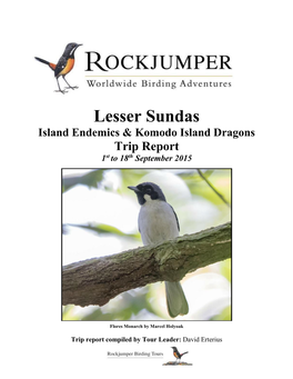 Lesser Sundas Island Endemics & Komodo Island Dragons Trip Report 1St to 18Th September 2015