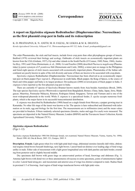 Zootaxa, a Report on Sipyloidea Stigmata Redtenbacher